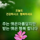 동반자 - 11135 | 동반자