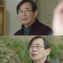 &#39;막영애16&#39; 측 &#34;오늘 딸 시집보내는 부모 마음 담을 것&#34; 이미지