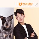 제주 스테이한강 이미지