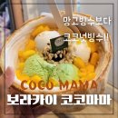 아이스크림천국 티스토리