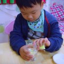 알쏭달쏭 과학실험 이미지