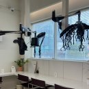 메르시엠헤어 | 순천 호수공원 미용실<메르시엠헤어> 두피스케일링 후기