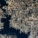 원산보건진료소 이미지