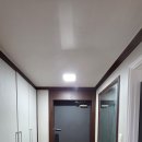 우성동백 이미지