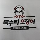 독수리오징어 이미지