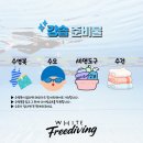 창원 프리다이빙 입문 후기｜초보도 가능한 프리다이빙 클래스 후기! [화이트프리다이빙]