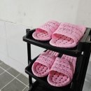 율곡캠핑장 | [파주] 서울근교캠핑장 파주 율곡캠핑장 후기 (수영장있음)