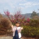 대대 찹쌀아구찜 이미지