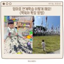 이렇게 읽어볼까 영어 그림책 1기 | 5살부터 책육아 이렇게 했어요! 책육아 방법 (경험형 연계학습)