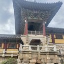 [국내여행] 경주여행 두번째 날 / 보문단지, 불국사, 석굴암, 감포 (경주바다)리뷰