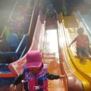 오림피아 수영장 이미지