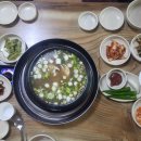 동천느티나무집 이미지