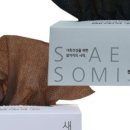 새솜 이미지