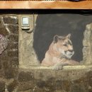 다호마을 이미지