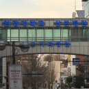 원광대학교치과대학산본치과병원 | 사랑할 수 없는 이름. 사랑니.
