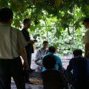 솔티농원 이미지