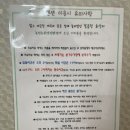 녹천농원 | 녹천농원 가평 캠핑장 글램핑 펜션 수영장 물놀이