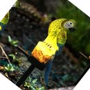 쇼핑나라 이미지