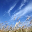 가을바람 Daum카페
