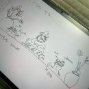 조하컴퍼니 | 50일기념 통잠..?