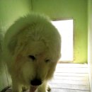 럭키농장 이미지