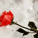 하늘빛소공원 이미지