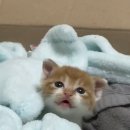 마음씨 - 영등포구 | 마음씨