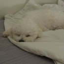 예은동물의료센터 이미지