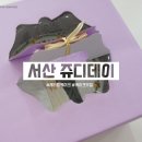쥬디데이