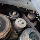 애니카랜드 화원점 이미지