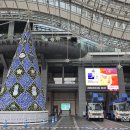 카멜리아 이미지