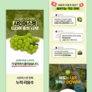 상세페이지 구매전환율 높이는 5가지 방법: 후기 활용과 카피라이팅 전략