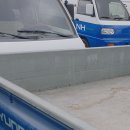 르노삼성 항구점 | 대구 자동차 수출로 더 높은 가격 받는 법