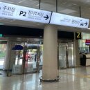 ㈜제주다움렌트카 | 제주공항 렌트카 이용 후기｜돌하르방에서 예약한 제주다움렌터카 내돈내산 장단점 총정리
