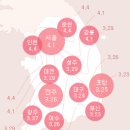 나무애 이미지