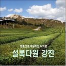 설록차전시관 티스토리