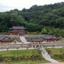 고운교육