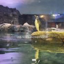 새들의천국 | [싱가포르여행-13]오프런했던 송파바쿠테 본점과 새들의 천국 싱가포르동물원 버드파라다이스