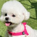 예쁘고멍 이미지