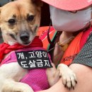 칠성의원 이미지