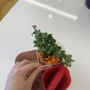 소로3-55(혁신도시) | 충북혁신도시 실내동물원 음성 애니멀라이프 겨울 방문 후기