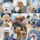 랄라펫살롱 이미지