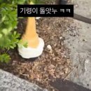 종인유치원 | 차가운 세상도 녹여내고 싶단 꿈을 가득 품어냈으니