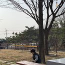 보령 동대동 카페 공감