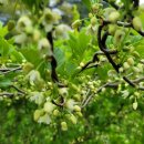 진밭골농부