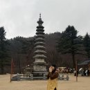 공스테이 - 양산시 | 금강산, 화암사템플스테이후기