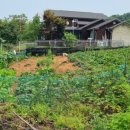 강화경기장 BMX경기장 이미지