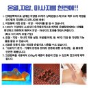 3에이치스마트지압침대 네이버블로그