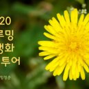 성분도빛둘레지역아동센터 이미지