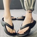 1113 이미지